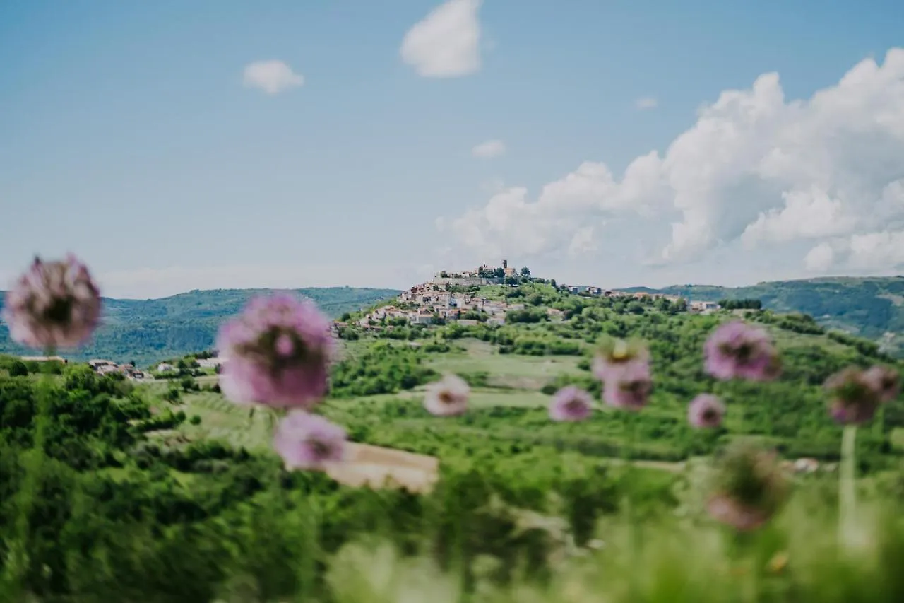 Luxury Estate With 6 Hectares Land Near Hilltop Town Motovun Kaldir 0*,  クロアチア
